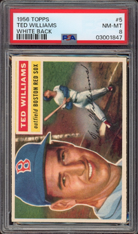1956 Topps #5 Ted Williams White Back PSA NM-MT 8